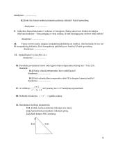 Matematikos mokymo rezultatų vertinimas 10 puslapis