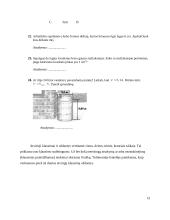 Matematikos mokymo rezultatų vertinimas 11 puslapis