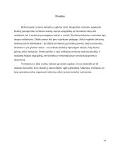 Matematikos mokymo rezultatų vertinimas 15 puslapis