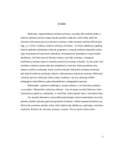 Matematikos mokymo rezultatų vertinimas 2 puslapis