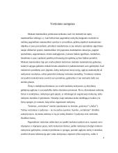 Matematikos mokymo rezultatų vertinimas 3 puslapis