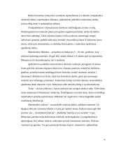 Matematikos mokymo rezultatų vertinimas 5 puslapis