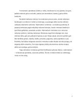 Matematikos mokymo rezultatų vertinimas 6 puslapis