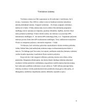 Matematikos mokymo rezultatų vertinimas 7 puslapis