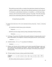Matematikos mokymo rezultatų vertinimas 9 puslapis