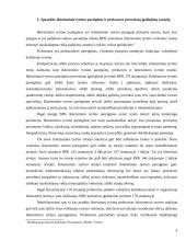 Teisė - civilinis ieškovas, ikiteisminis tyrimas 4 puslapis