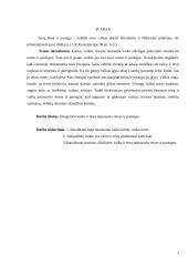 Vaikų ir tėvų tarpusavio teisės ir pareigos 2 puslapis