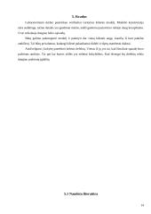 Vertikaliai vartoma kišenė 13 puslapis