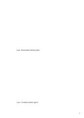 Vertikaliai vartoma kišenė 4 puslapis