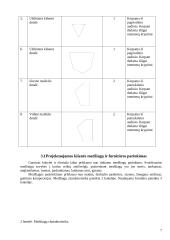 Vertikaliai vartoma kišenė 6 puslapis