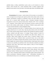 Racionalizmas. Racionalistinės filosofijos atšakos 10 puslapis