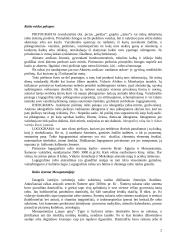 Raštas ir knyga senovės Egipte ir Mesopotamijoje 2 puslapis