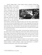 Sinagogos Lietuvoje 5 puslapis