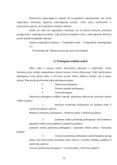 Finansinės veiklos analizė: UAB "Tepas" 12 puslapis