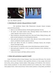 Įmonės eksporto tyrimas: AB "Sparta" 4 puslapis
