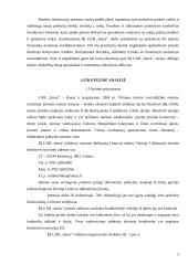 Įmonės strategija: didmeninė prekyba UAB "Ineza" 3 puslapis