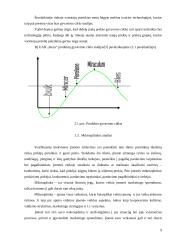 Įmonės strategija: didmeninė prekyba UAB "Ineza" 7 puslapis