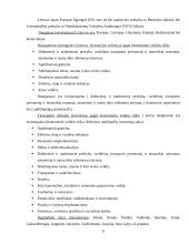 Lietuvos ekonominė analizė 11 puslapis