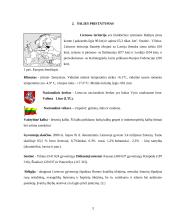 Lietuvos ekonominė analizė 3 puslapis