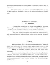 Lietuvos ekonominė analizė 8 puslapis