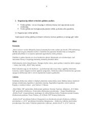 Prekybos įmonių vadybinė analizė: UAB "Rimi" ir UAB "Maxima" 4 puslapis
