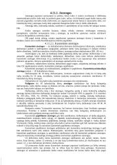 Darbo laikas, poilsis, atostogos 3 puslapis