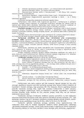 Darbo laikas, poilsis, atostogos 6 puslapis