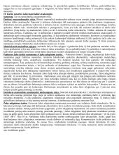 Pasiruošimas egzaminui - darbo teisė 3 puslapis