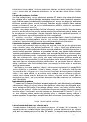 Europos Sąjungos (ES) materialinė teisė 12 puslapis