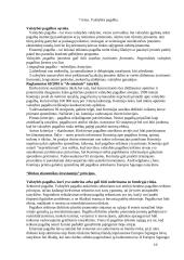 Europos Sąjungos (ES) materialinė teisė 16 puslapis