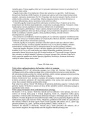 Europos Sąjungos (ES) materialinė teisė 17 puslapis