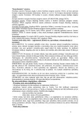 Europos Sąjungos (ES) materialinė teisė 3 puslapis