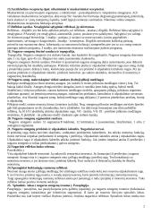 Nervų sistemos anatomja ir fiziologija 2 puslapis