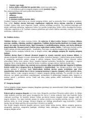 Nervų sistemos anatomja ir fiziologija 11 puslapis