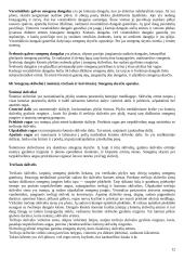 Nervų sistemos anatomja ir fiziologija 12 puslapis