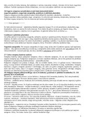 Nervų sistemos anatomja ir fiziologija 3 puslapis