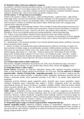 Nervų sistemos anatomja ir fiziologija 4 puslapis