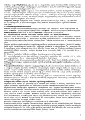 Nervų sistemos anatomja ir fiziologija 5 puslapis