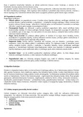 Nervų sistemos anatomja ir fiziologija 7 puslapis