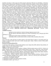 Pedagogikos pradmenys 11 puslapis