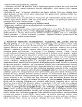 Pedagogikos pradmenys 12 puslapis