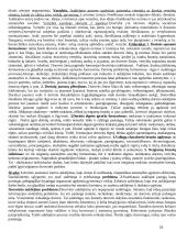 Pedagogikos pradmenys 18 puslapis