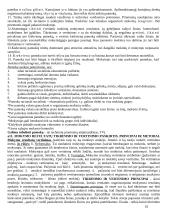 Pedagogikos pradmenys 10 puslapis