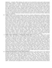 Politologijos įskaita 2 puslapis