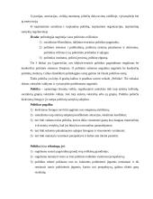 Politologija – mokslas apie politiką 2 puslapis