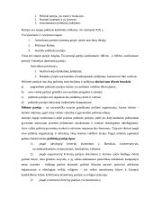 Politologija – mokslas apie politiką 19 puslapis