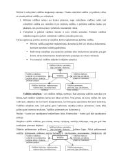 Politologija – mokslas apie politiką 6 puslapis