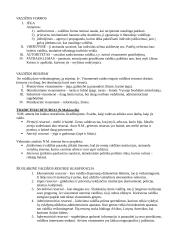 Politologijos teorija - egzaminas 18 puslapis