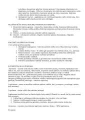 Politologijos teorija - egzaminas 19 puslapis