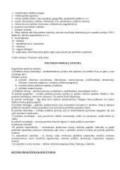Politologijos teorija - egzaminas 3 puslapis